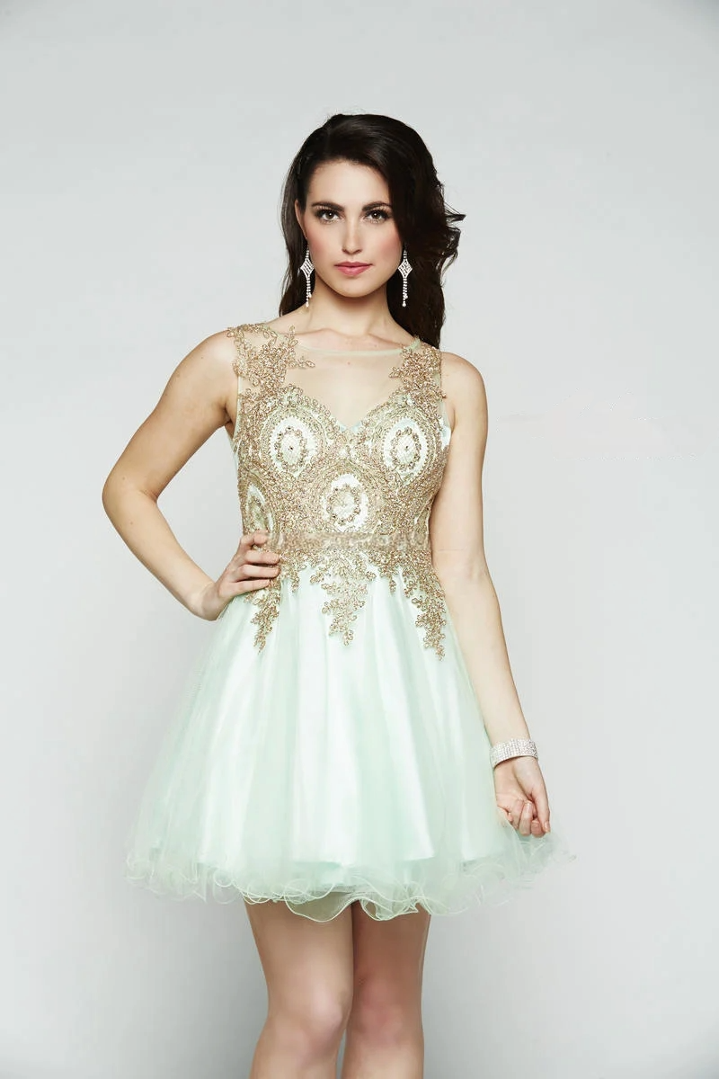 Embroidered Tulle Mini Dress with Gold Accents - prom dress