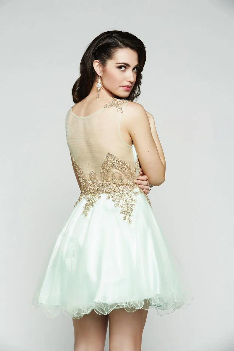 Embroidered Tulle Mini Dress with Gold Accents - prom dress