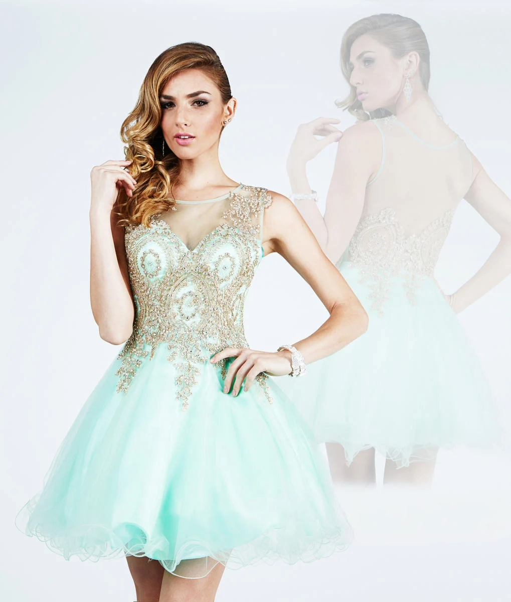 Embroidered Tulle Mini Dress with Gold Accents - prom dress