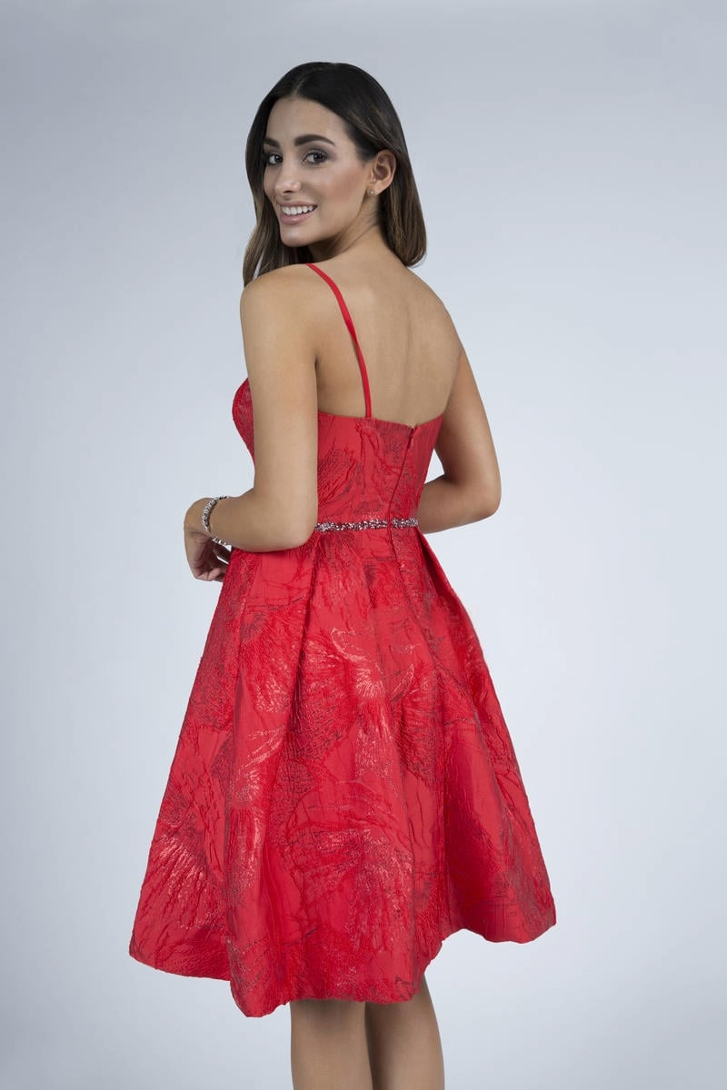 Crimson Charm Dress