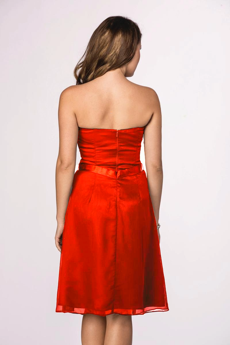 Color Essence Dress